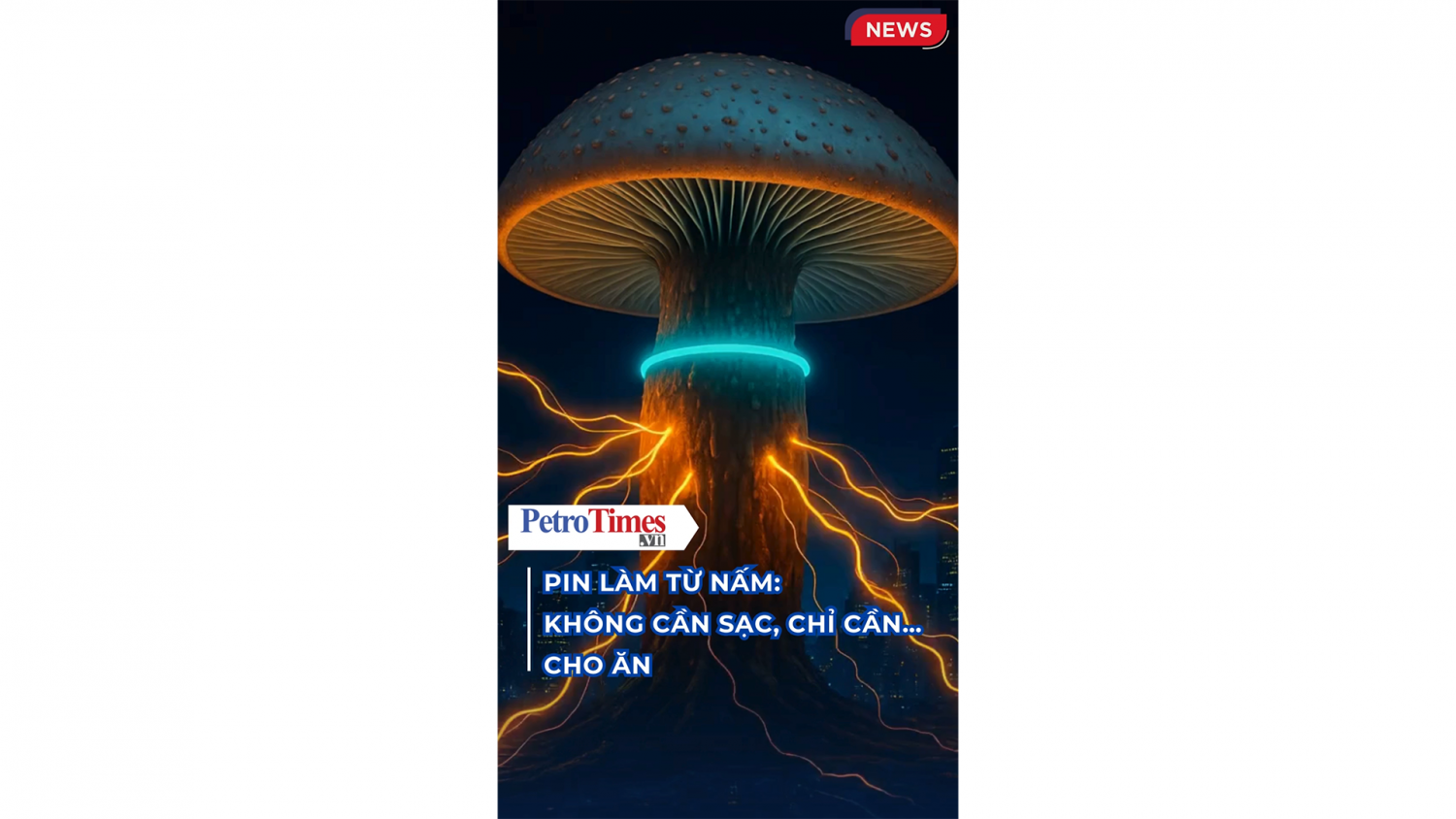 Pin làm từ nấm: Không cần sạc, chỉ cần… cho ăn