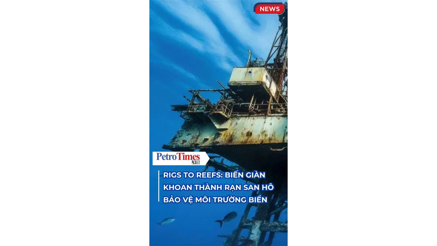 Rigs to Reefs: Biến giàn khoan thành rạn san hô bảo vệ môi trường biển