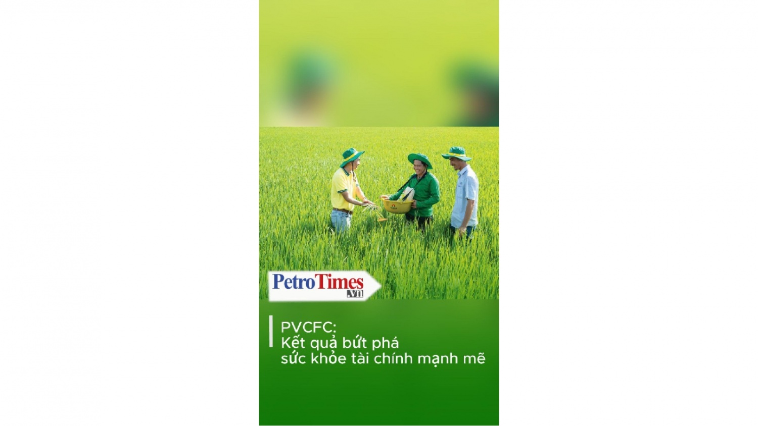 PVCFC: Kết quả bứt phá - sức khỏe tài chính mạnh mẽ