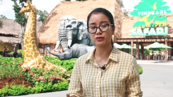 Hành trình khôn lớn của các loài thú quý, từ lúc chào đời ở Vinpearl Safari