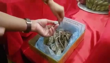 Tìm thấy hài cốt hai phi công hy sinh tại Tam Đảo từ năm 1971